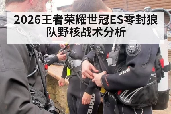 2026王者荣耀世冠ES零封狼队野核战术分析