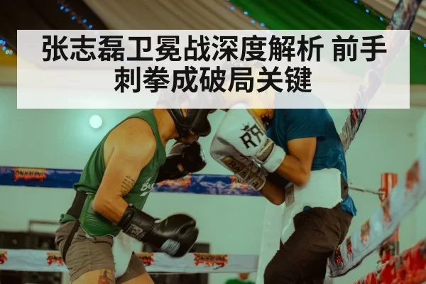 Zhang Zhilei boxing